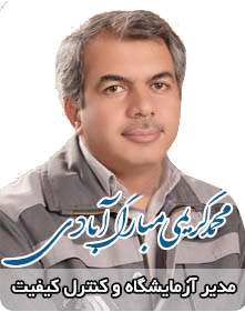 محمد کریمی مبارک‌آبادی