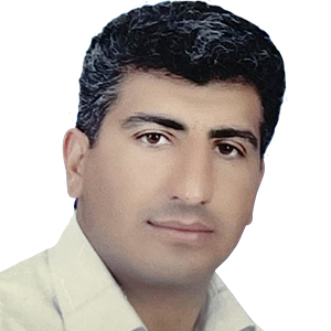 حمیدرضا حسنی
